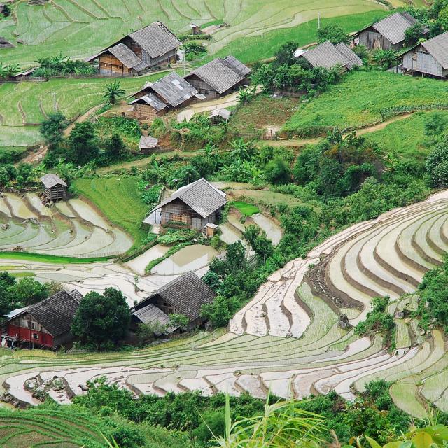 Sapa