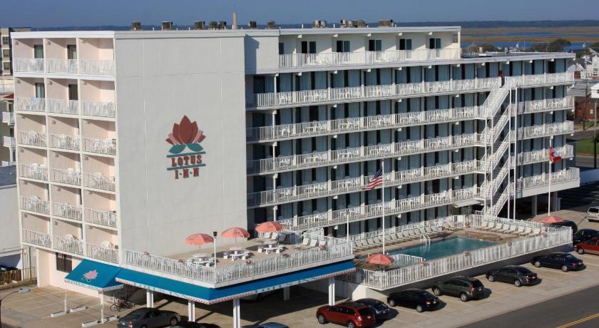 Lotus Inn