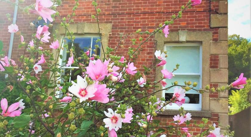 Bridport Garden Suite