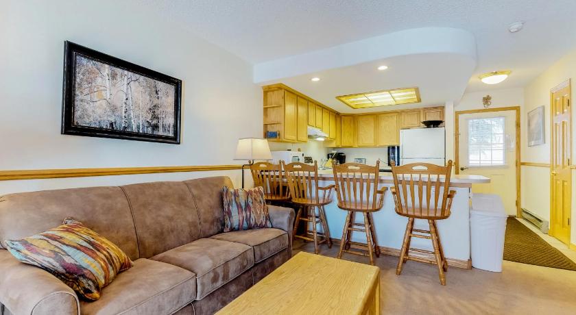 Snowdance Condo A101