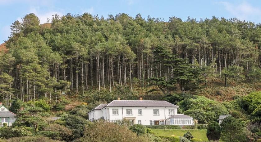 Brynmorwydd
