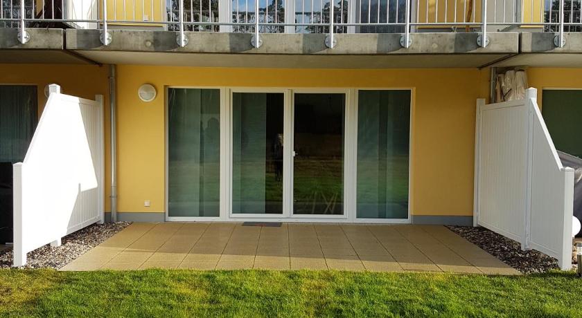 Sonnenstrahl im Küstenwald