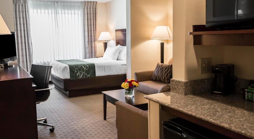 Comfort Suites University Area Notre Dame-South Bend
