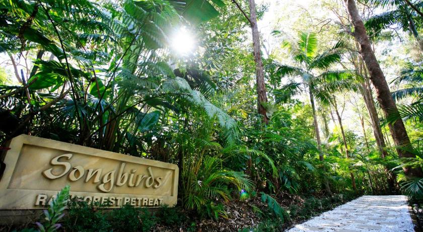 Songbirds Rainforest Retreat