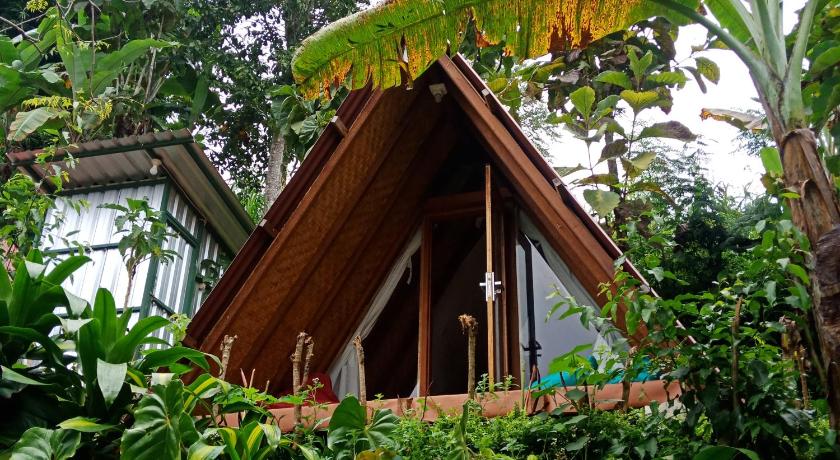 ECO Bedugul adventurer camp