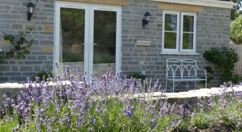 Littlemead - Newly renovated private studio near Glastonbury