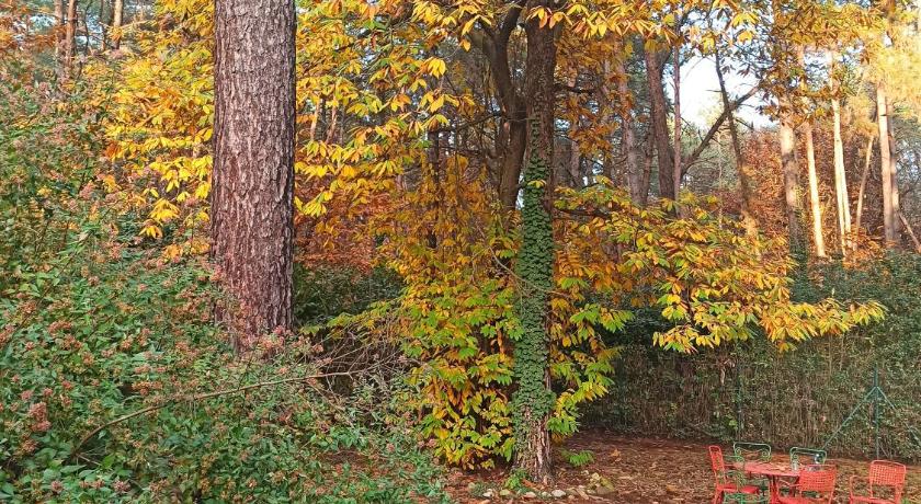 l'oasi nel bosco 이미지
