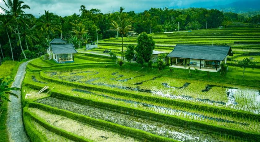 KUBU D'UME HOMESTAY