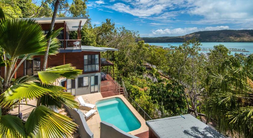 Kingfisher on Hamilton Island