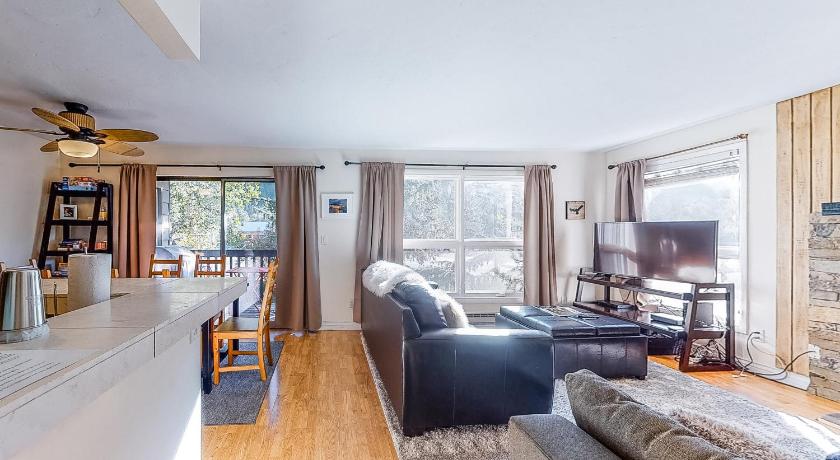 Mountain Stream Condo