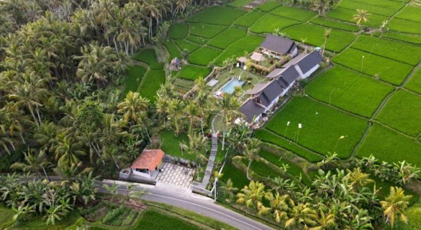 Green Coconut Cottage