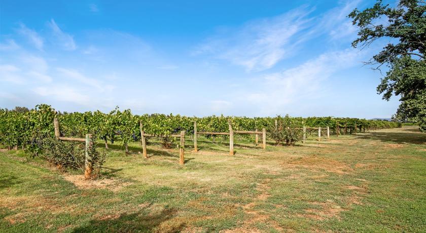 Milawa Vineyard Views - Guesthouse 2