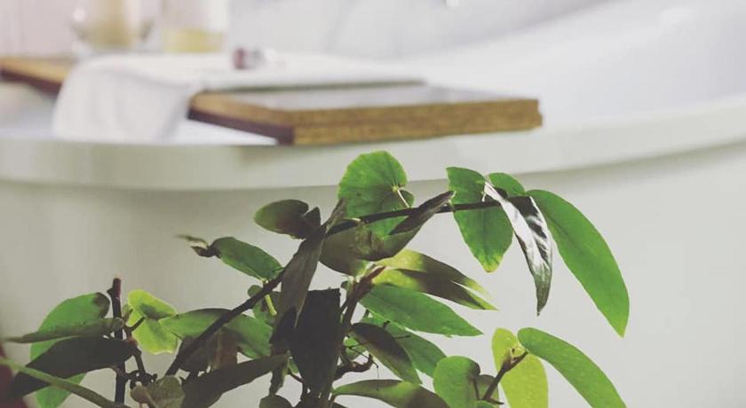 Treehouse Hideouts - Ground Level - Heygarth House Townhouse - Port of Echuca
