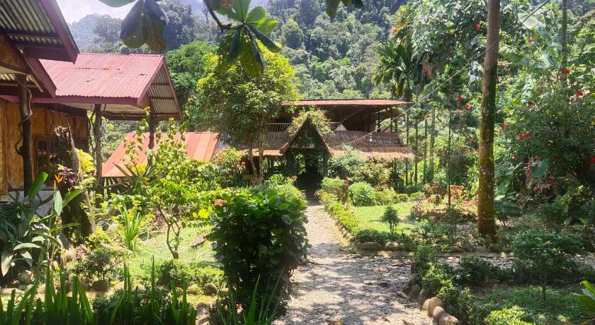 Mountain View Cottages & Villa Tangkahan