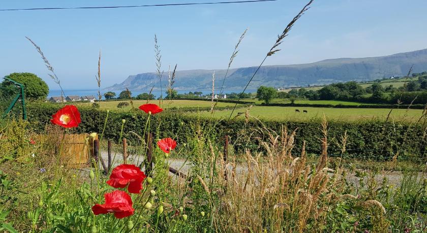 Glens glamping