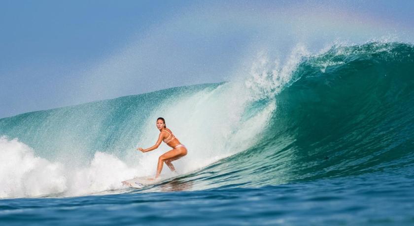 Cabana Surf and Stay