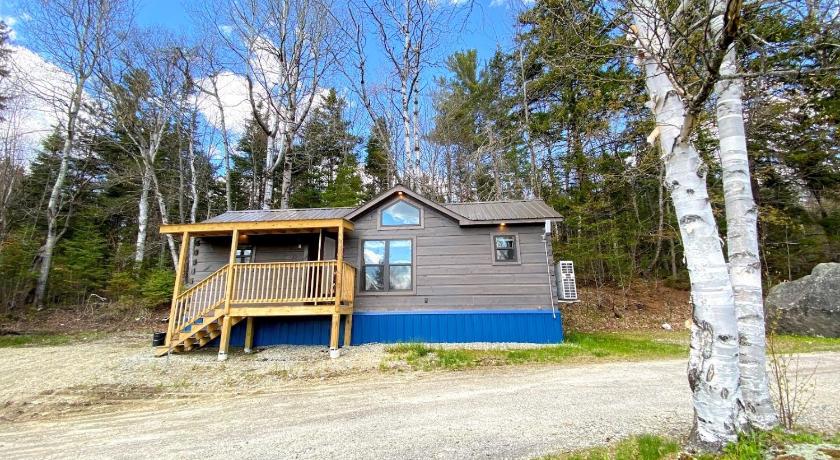 B10 NEW Awesome Tiny Home with AC Mountain Views Minutes to Skiing Hiking Attractions