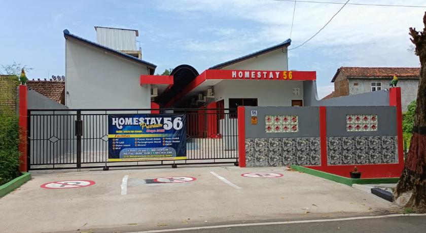 Homestay Premium 56