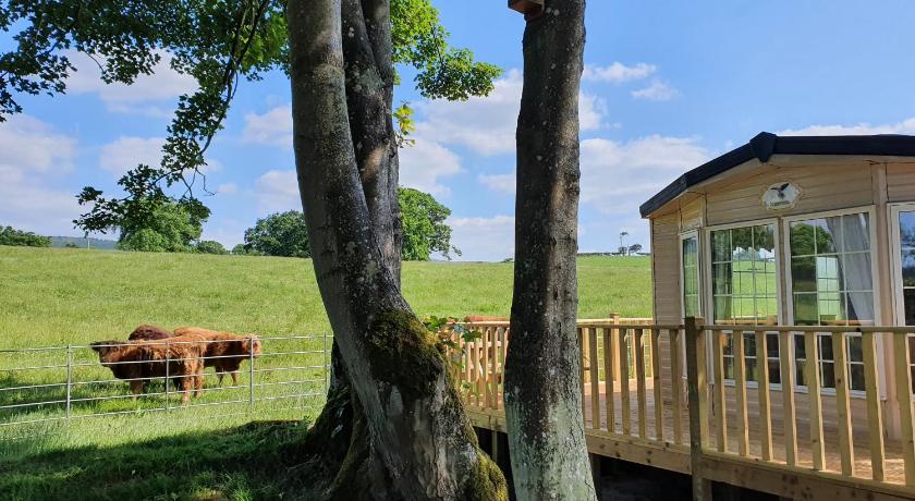 Gaerhyfryd Static Caravan & family friendly site