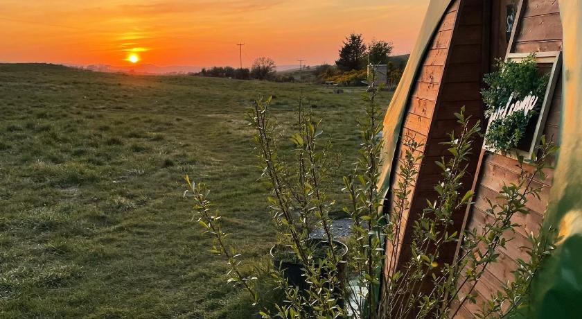 Pant y Rhedyn Glamping and camping site