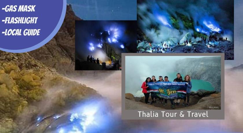 Thalia Homestay & Ijen Bromo Tour