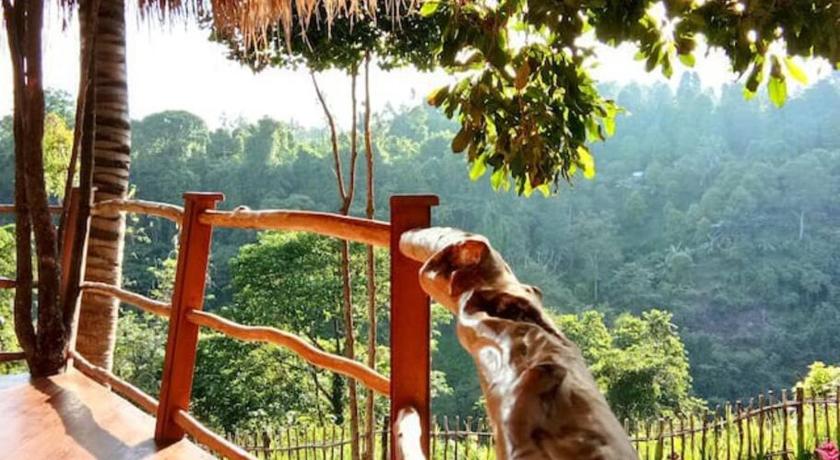 Dreamy Eco Tree House by 7 Waterfalls