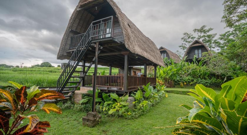 The Tetamian Bali