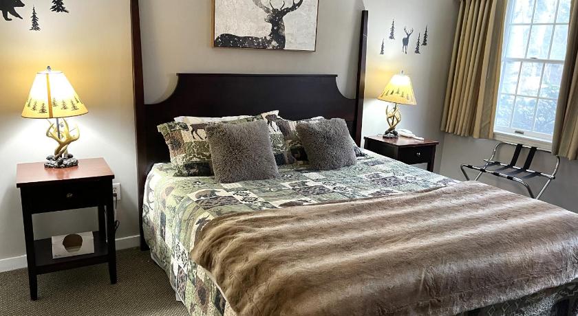 Ski On Off 1BR Suite 1st Flr Sleeps 4 Jiminy Peak