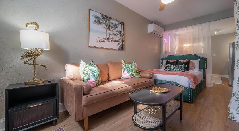 Stylish Updated Studio in Tampa - Hyde Park & UT