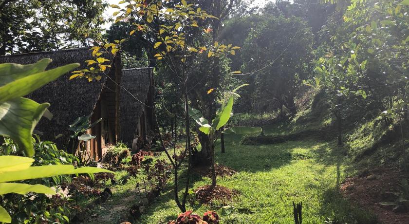 Sumatra Thomas Leaf Monkey Guesthouse & Jungle Trek