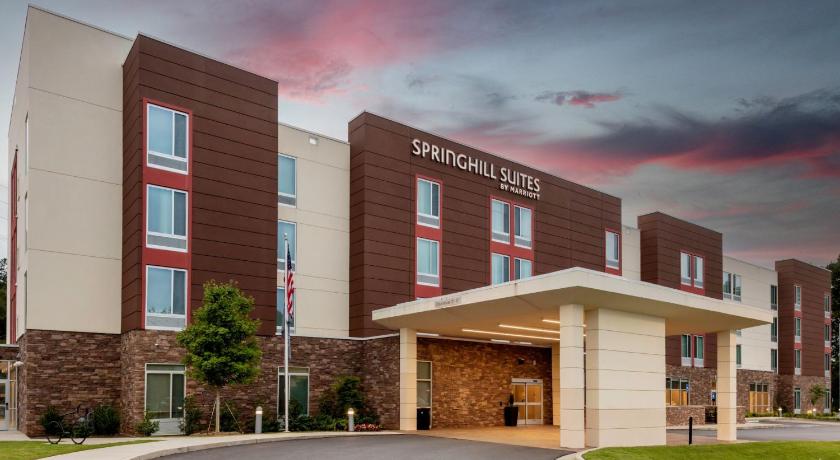 SpringHill Suites Atlanta Alpharetta/Roswell