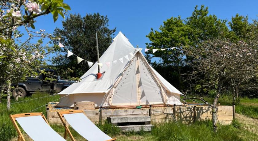 Bowhayes Farm - Camping & Glamping - Bell Tents - Cider Orchard