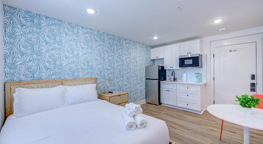 Midnight Tropics Studio Apartment