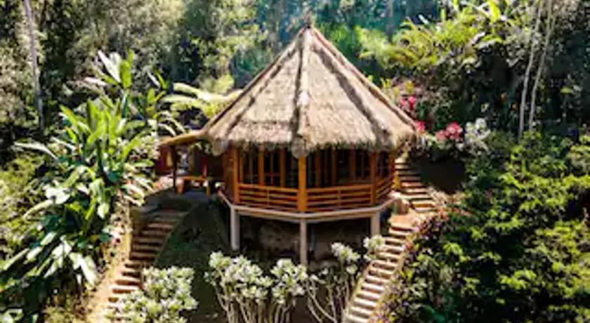 Bali Jungle Taksu