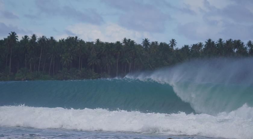 Lilys Nias Surf Camp