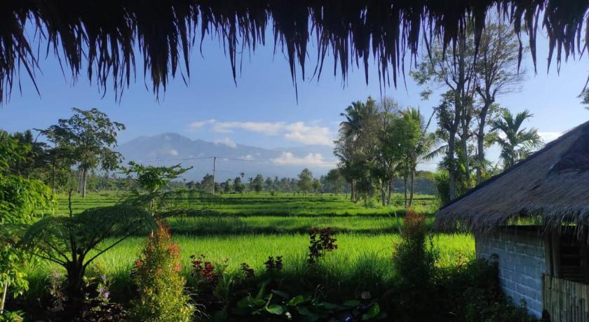 New Rinjani Homestay