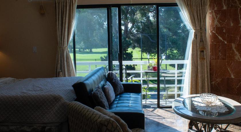 Large Luxury Studio with View in Santa Monica