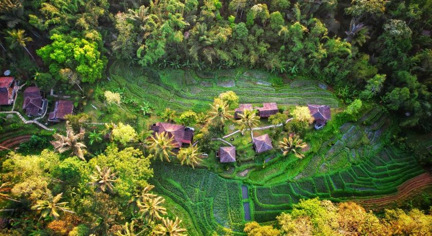 Oemah Tepi Sawah
