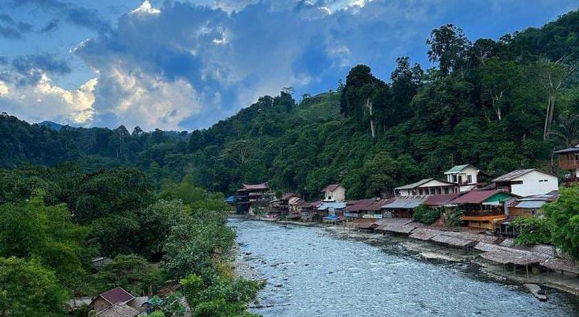 JUNGLE LIFE GUEST HOUSE - Trekking & Transport Only Book With Us