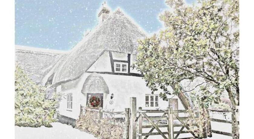 Delightful 3bed thatched Cottage