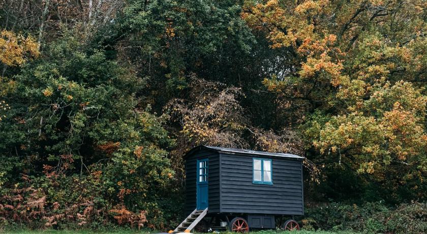 Beautiful, Secluded Shepherd's Hut in the National Park