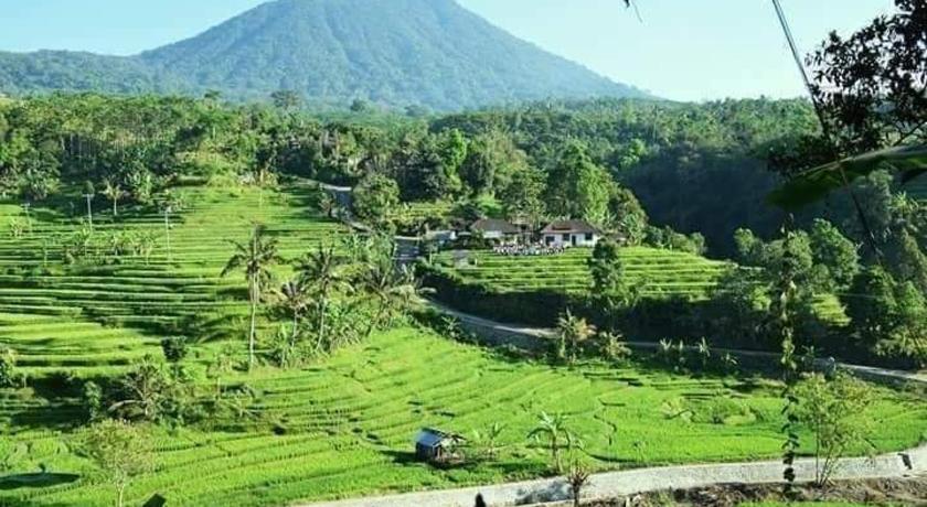 Suweden Homestay