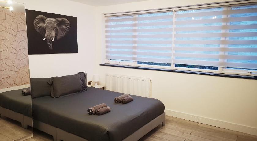 Stylish Studio minutes away from Wembley