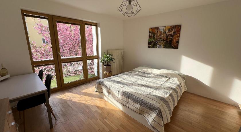 Apartmán v centre