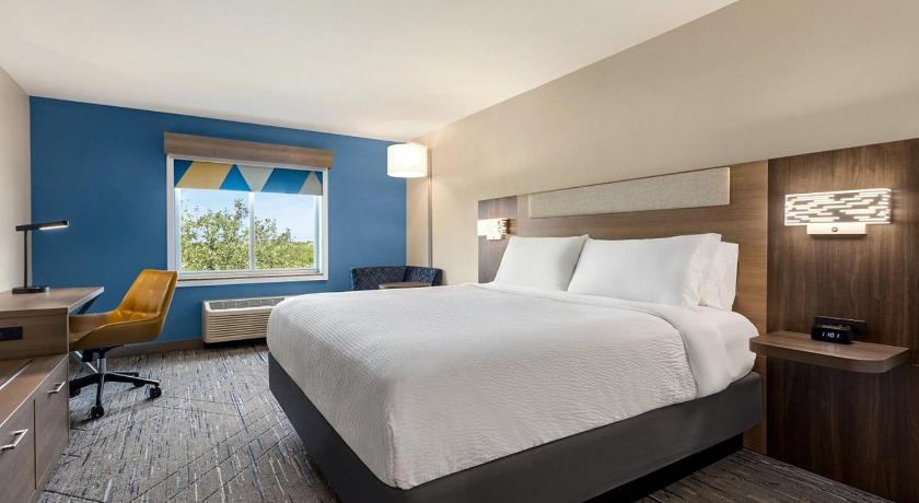 Holiday Inn Express Hotel & Suites Latham By IHG