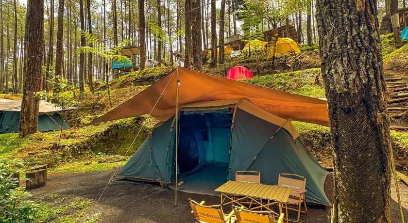 Finest Camp