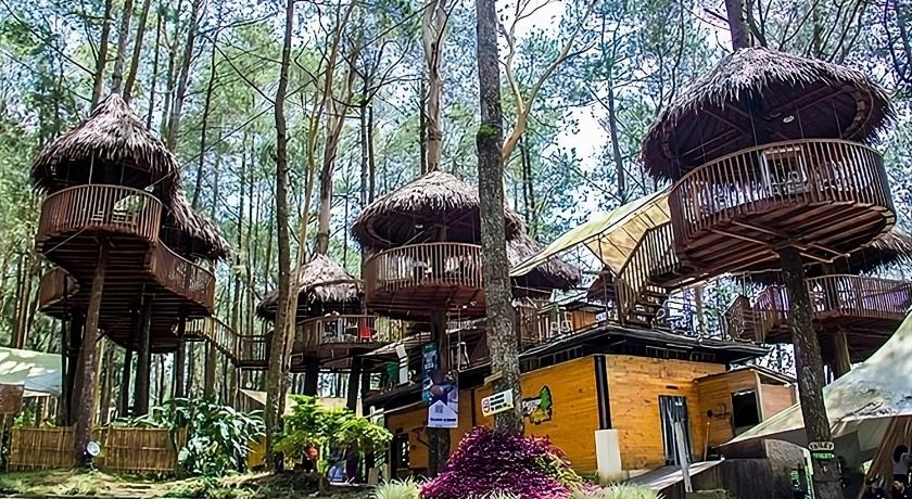Kopeng Tretop Adventure Park