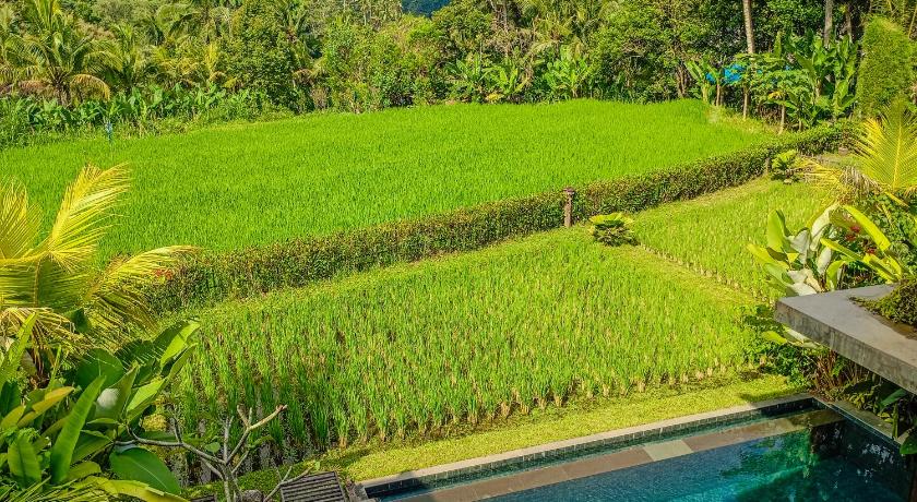 Dukuh Ubud Villa #2 Ricefield View