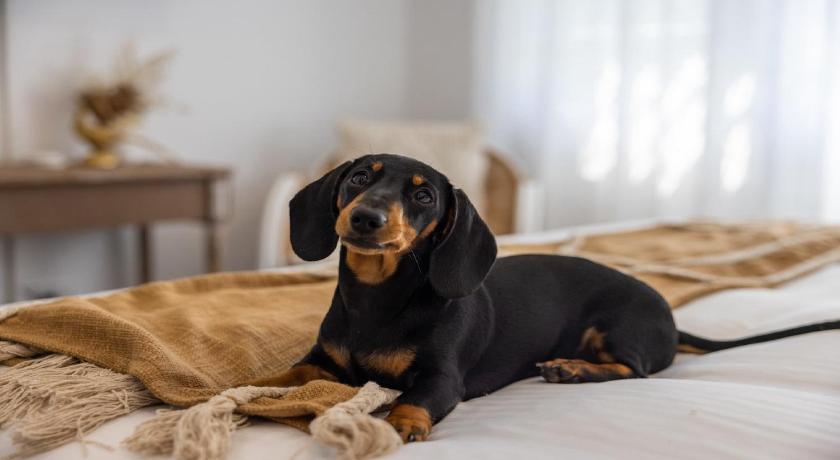 Crackers - Pet Friendly, Jetty Location, Walk to Restaurants