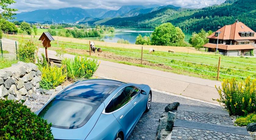 Luxury Mountain Lodge